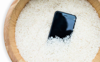 “Celular no arroz” — Mito ou Verdade?